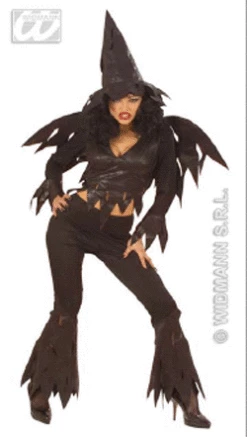 Rowdy Witch Costume Widmann