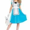 Classic Alice Costume 85374