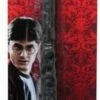 Harry Potter's Wand 9704