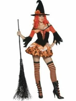 Tainted Garden Wicked Witch Costume 33750