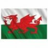 Wales Welsh Flag 5ft X 3ft Rugby Football