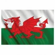 Wales Welsh Flag 5ft X 3ft Rugby Football