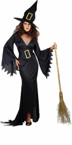 Wicked Witch Costume Wicked